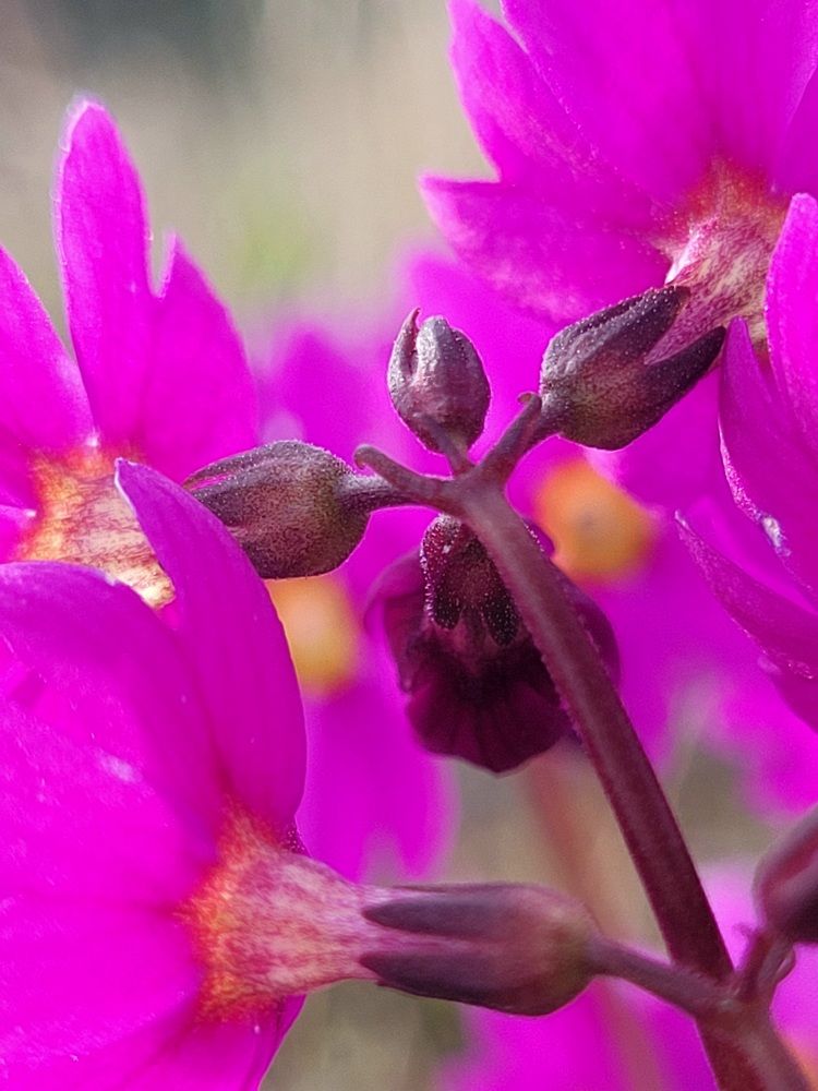 Фотография автора Казакова Людмила Ивановна