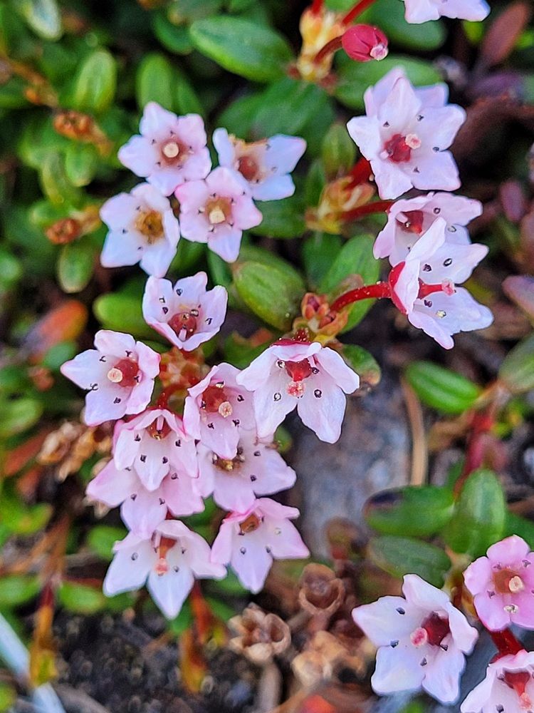 Фотография автора Казакова Людмила Ивановна