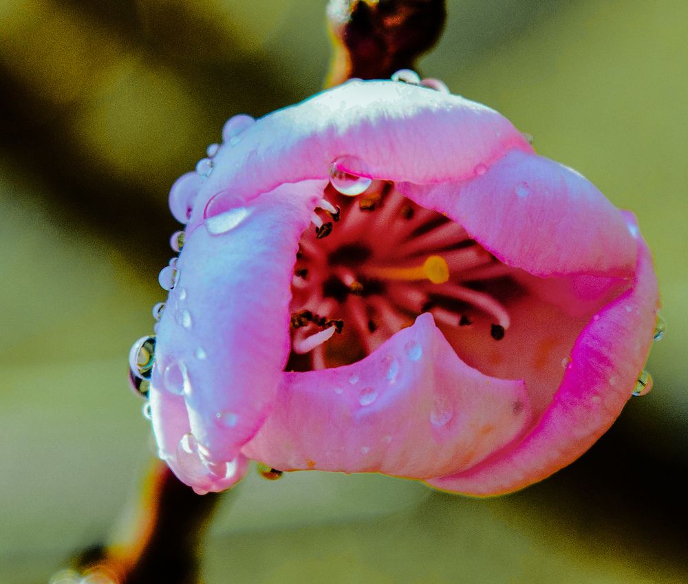 Photograph by Maria Julieta ZURZOLO