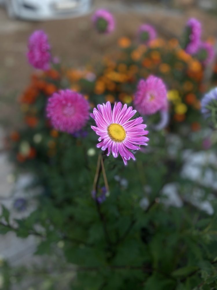 Photograph by Наталья Душакова