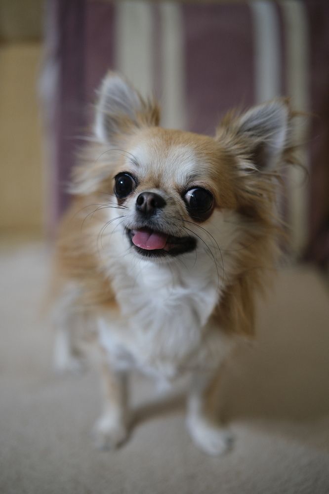 Photograph by Бехтерев Вадим