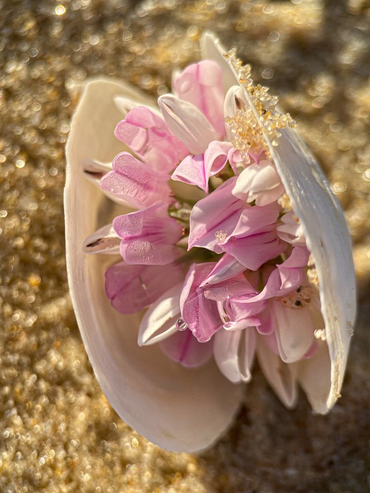 Photograph by Александра Гонтарь