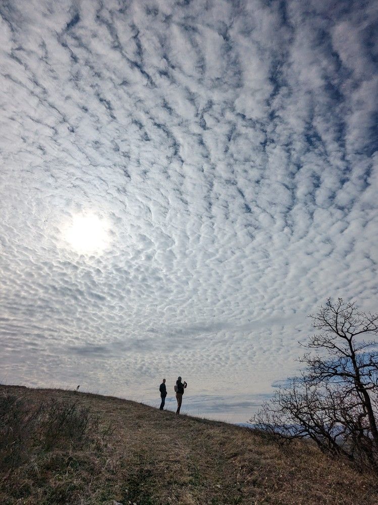 Photograph by Мария Гусакова