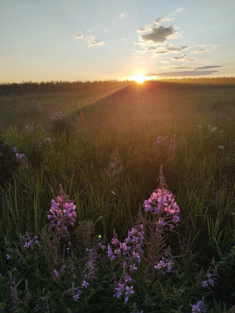 Photograph by Марина Безенкина