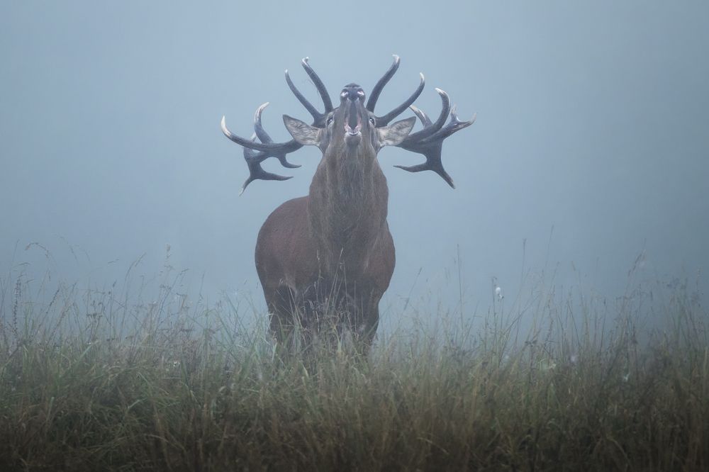 Фотография автора Рудченко Ольга