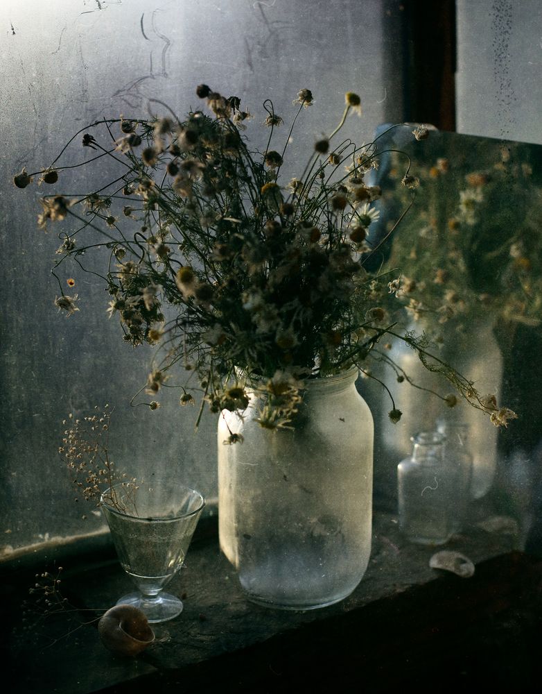 Photograph by Мария Сапего