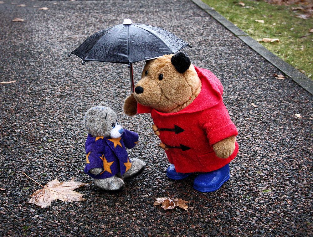 Кажется, дождь начинается...