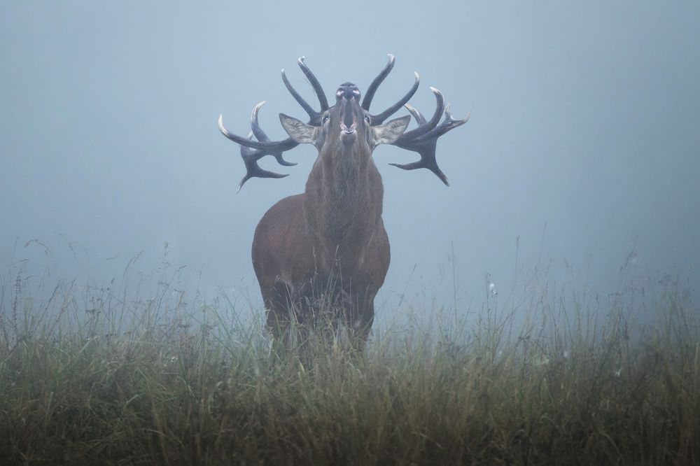 Фотография автора Рудченко Ольга