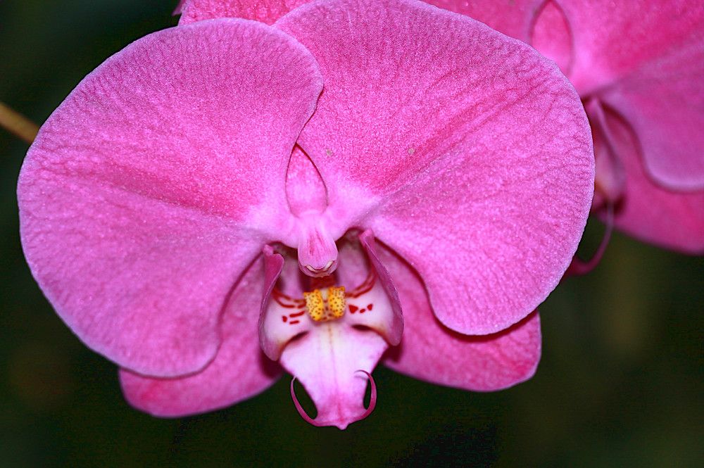 Photograph by Гагик Саркисян