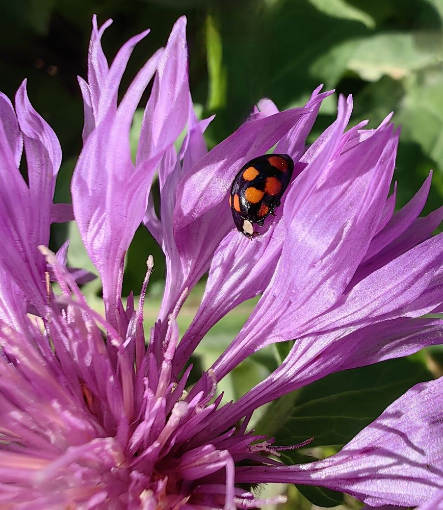 Photograph by Светлана Булыгина