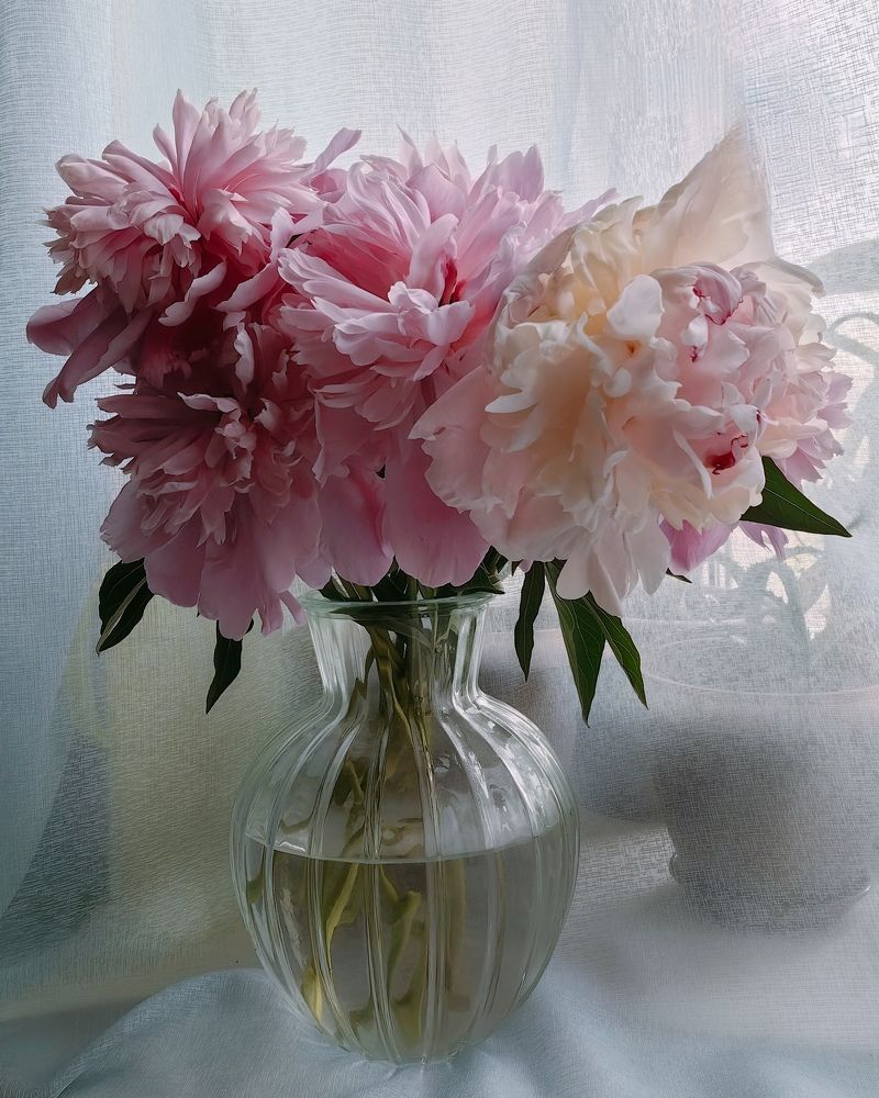 Photograph by Светлана Булыгина