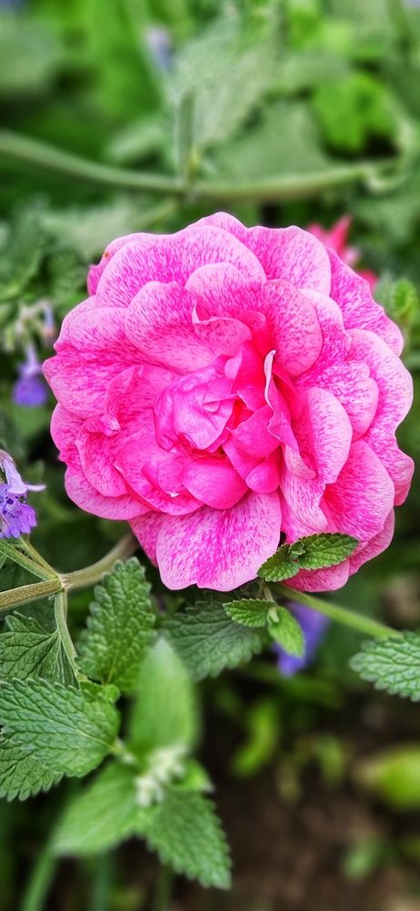 Photograph by Оксана Новикова