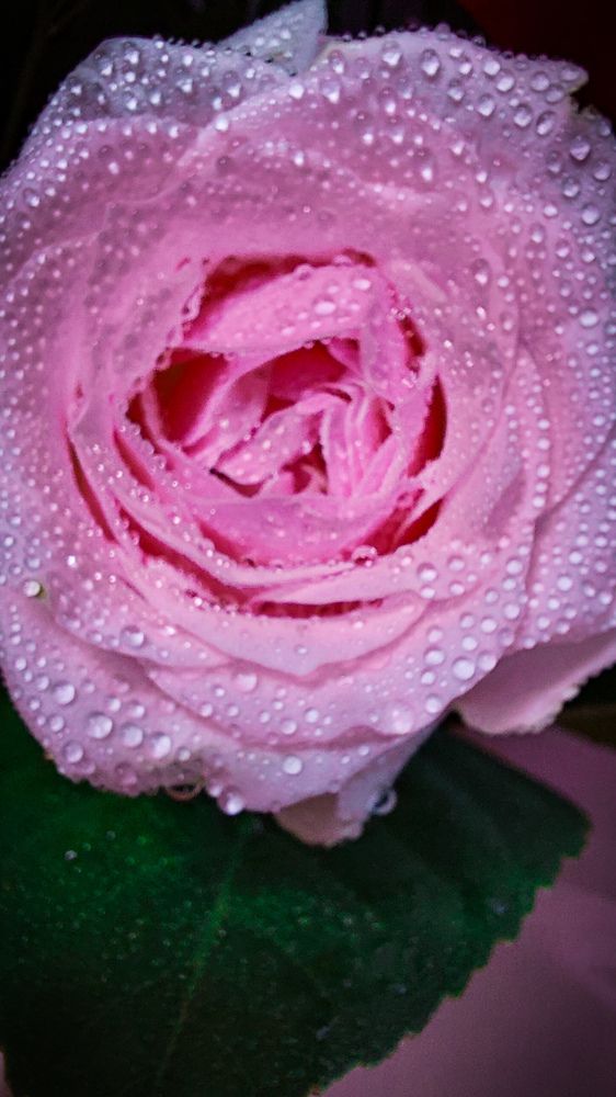 Photograph by Marharita