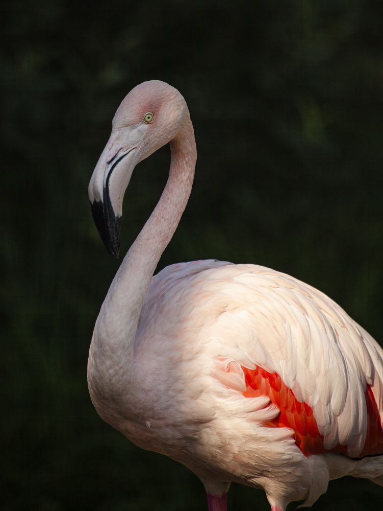 Фотография автора Galina Sa