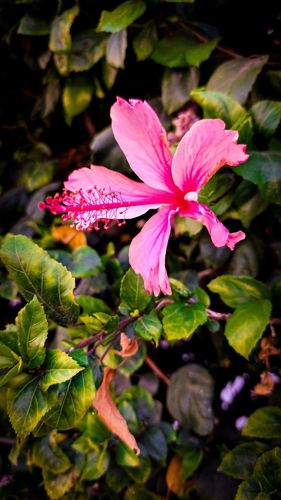 Photograph by Marharita