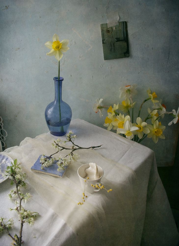 Photograph by Мария Сапего