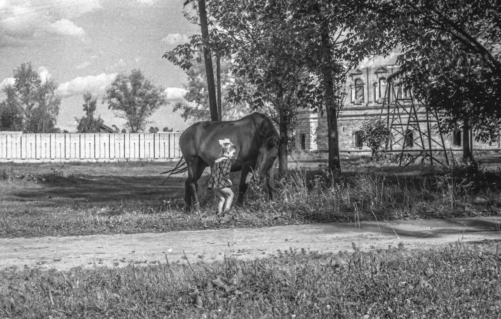 Photograph by Vladimir  Komarov