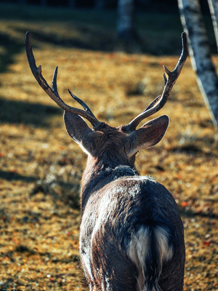 Photograph by Aleksey