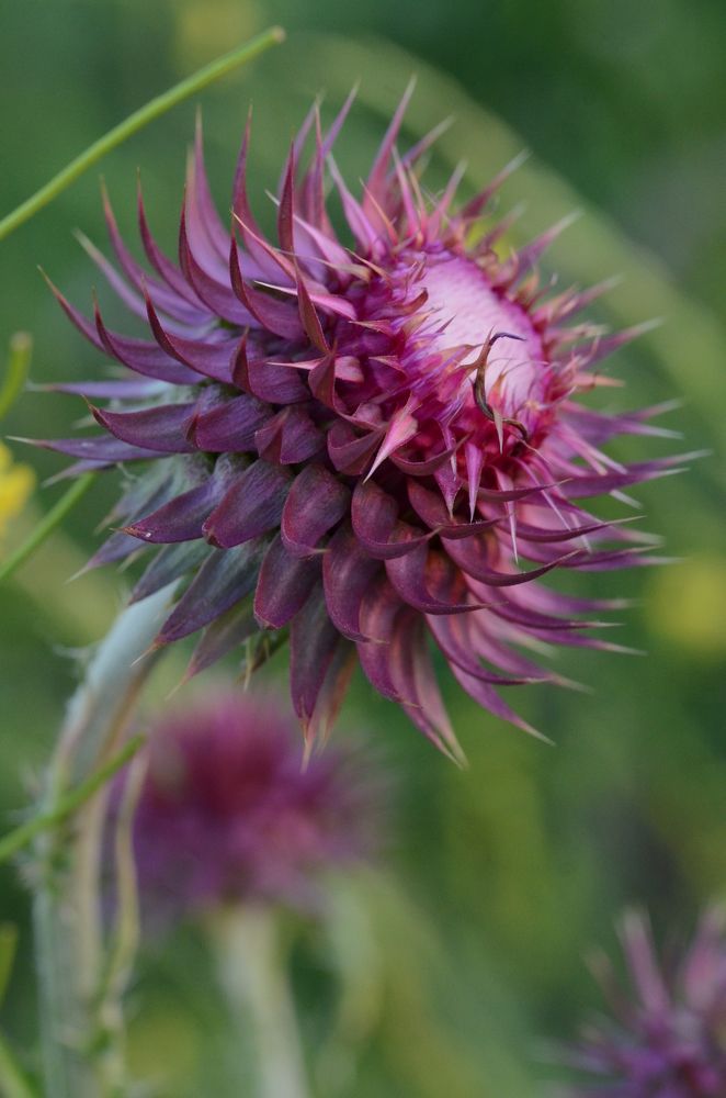 Photograph by Людмила Воропаева