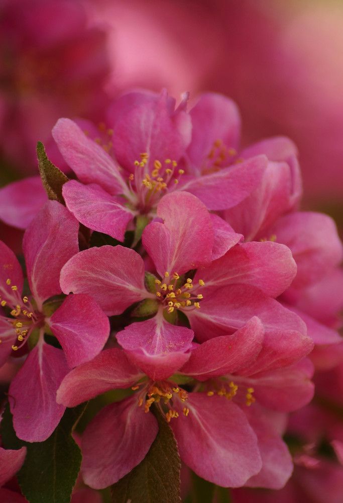 Photograph by Наталья Екимова