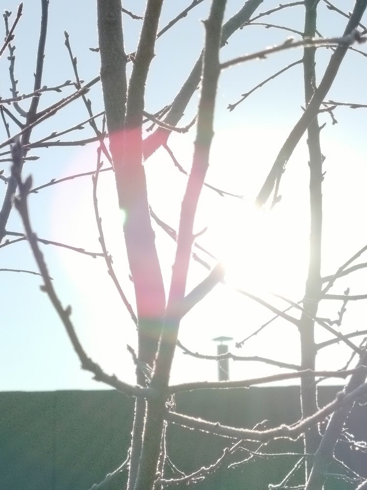 Photograph by Зульфия Набиуллина