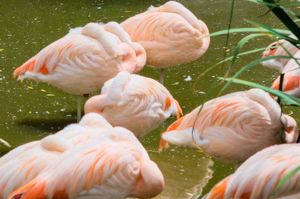 Photograph by Сергей Аверченко