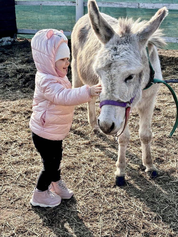 Photograph by Halina Mitsevich