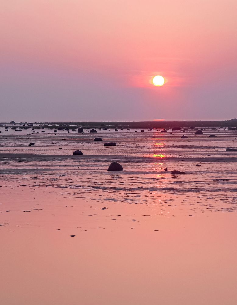 Photograph by Ольга Ситникова