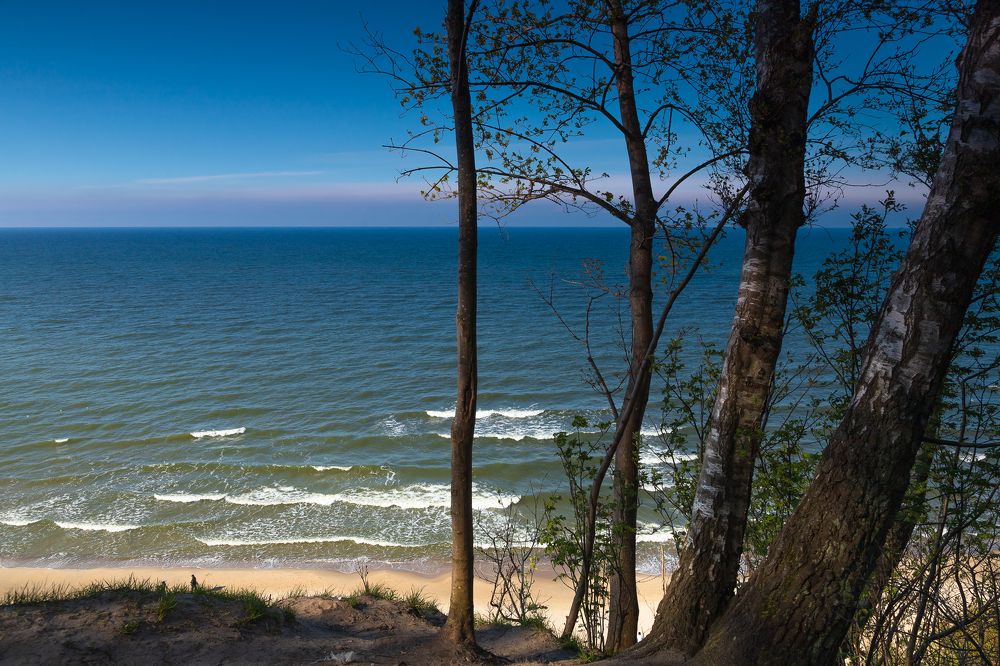 Photograph by Людмила Сливкина