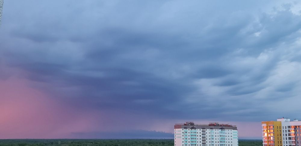 Photograph by Natasha Kim