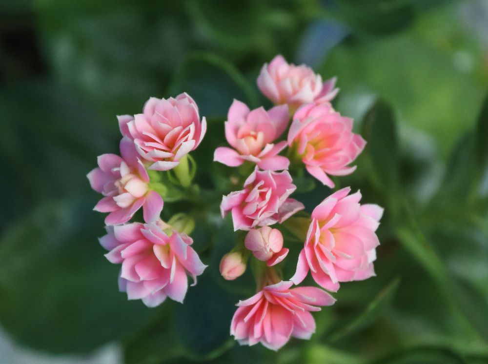 Photograph by Natasha Kim