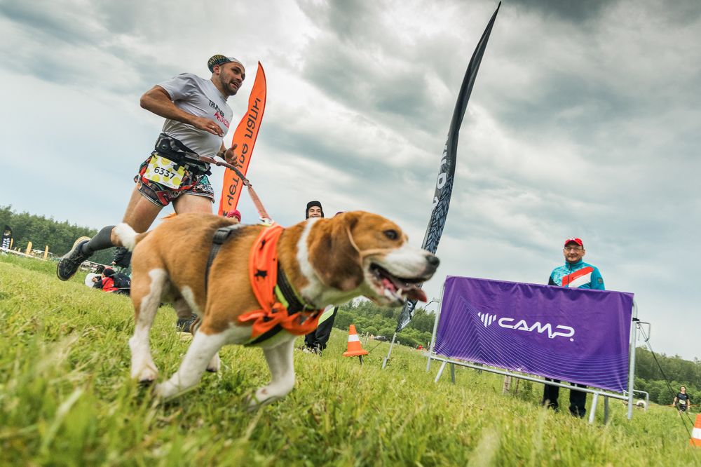 Photograph by Юрий Шумейко