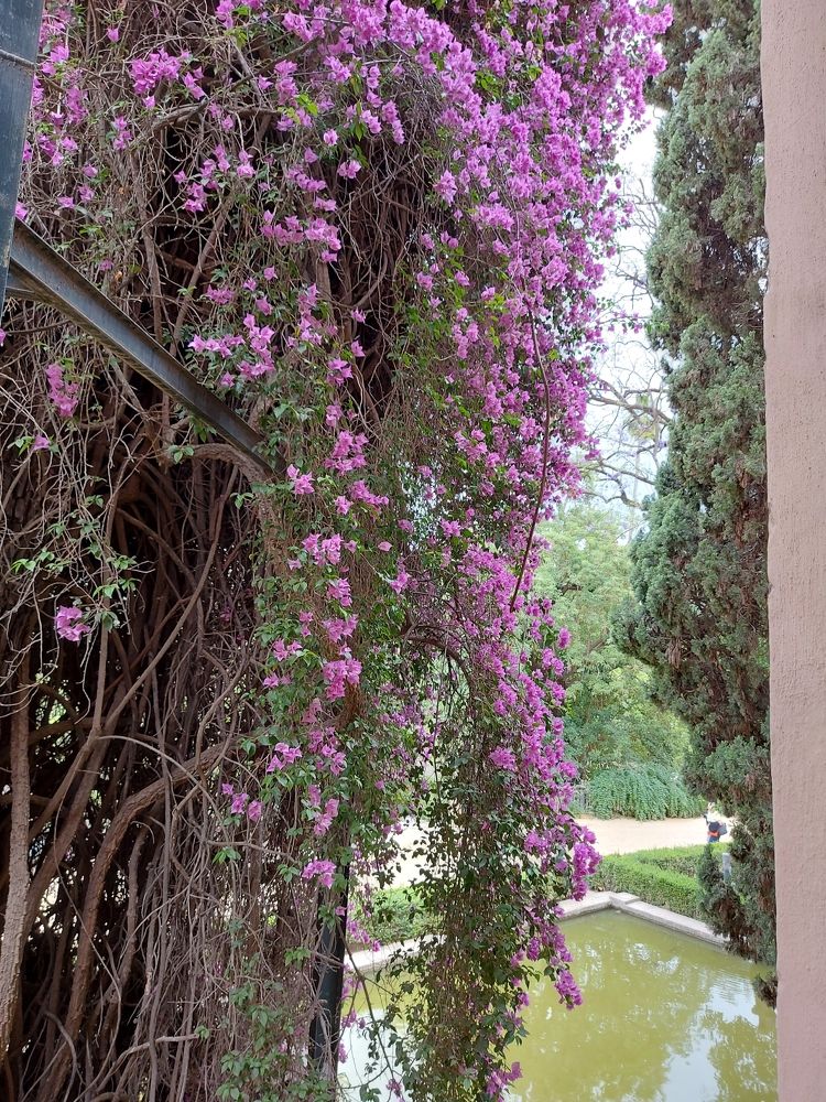 Photograph by Rosane Cortez