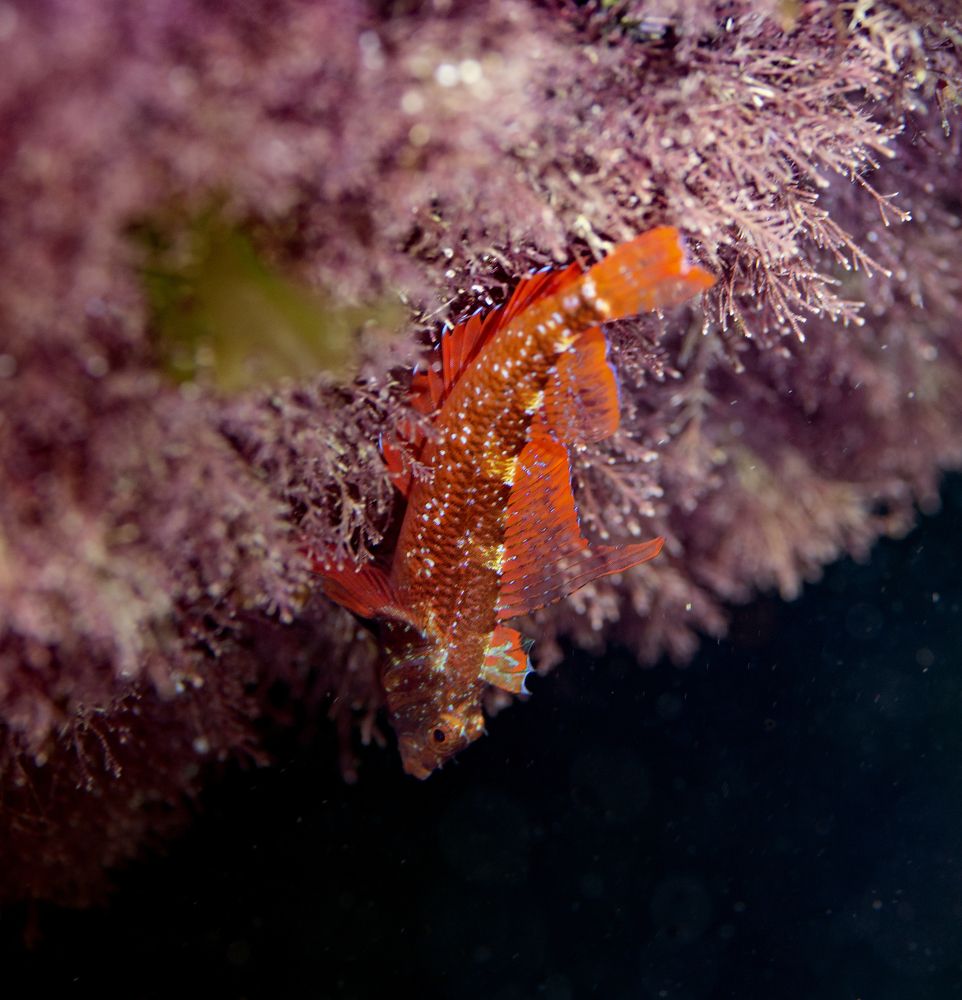 Photograph by Евгения Карпова