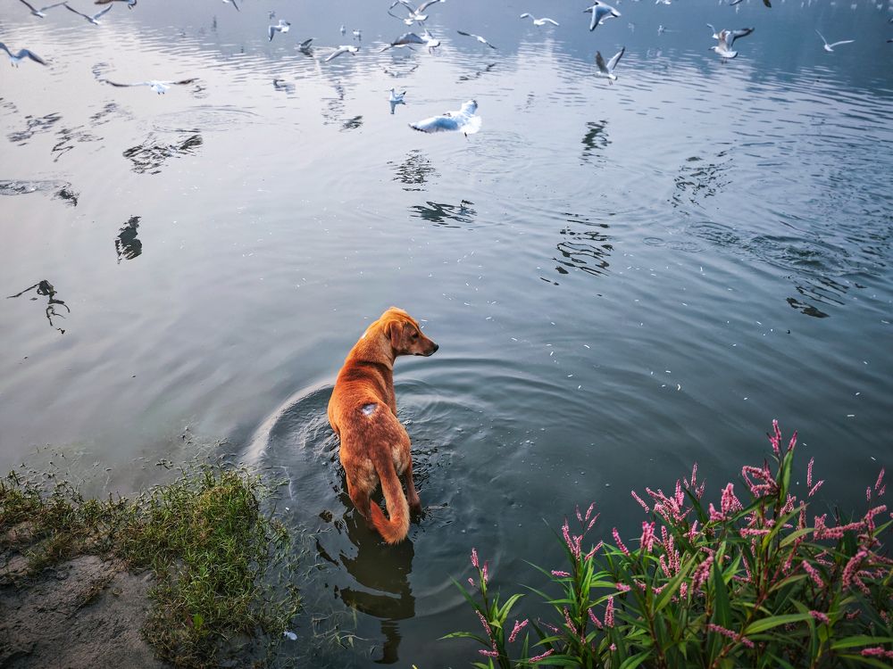 Photograph by HARSHIT MISHRA