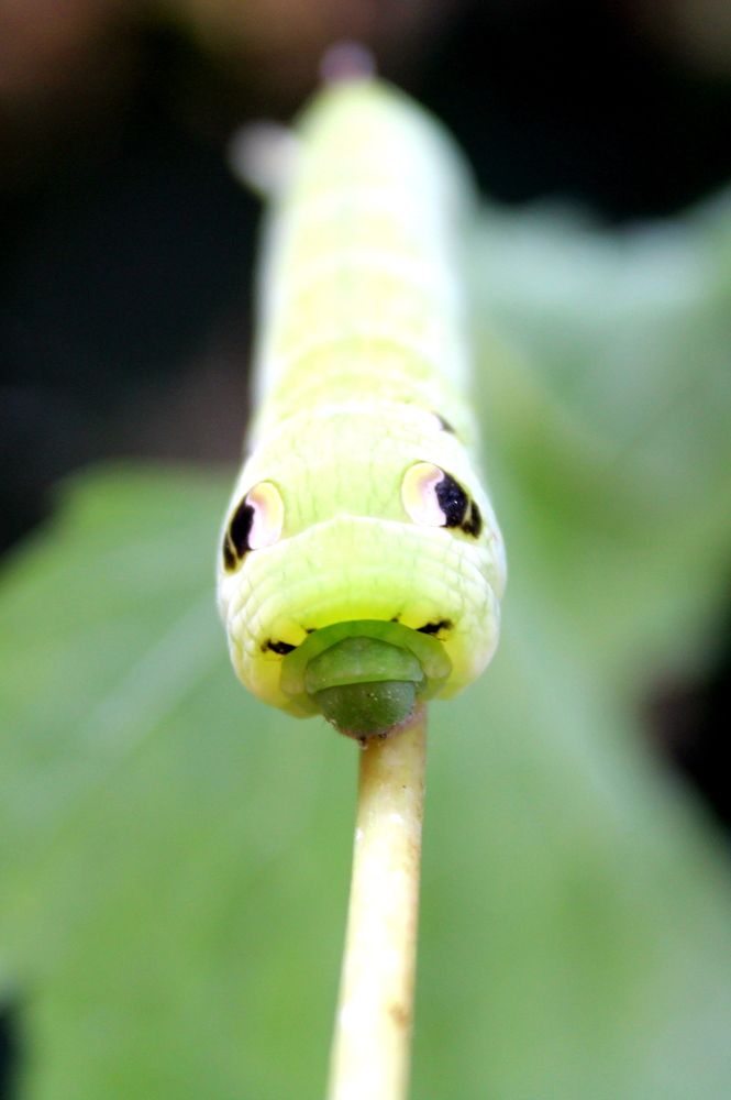 Photograph by Николай Немчанинов