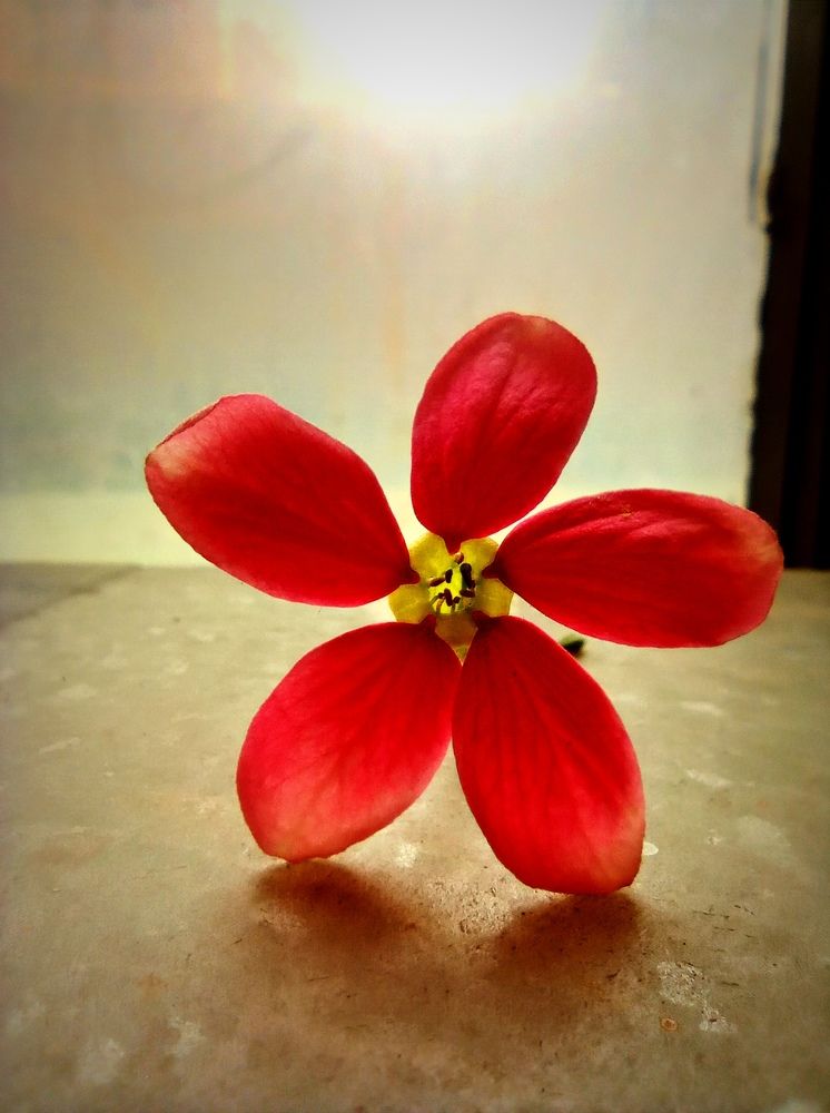 Фотография автора Debdutt Saha