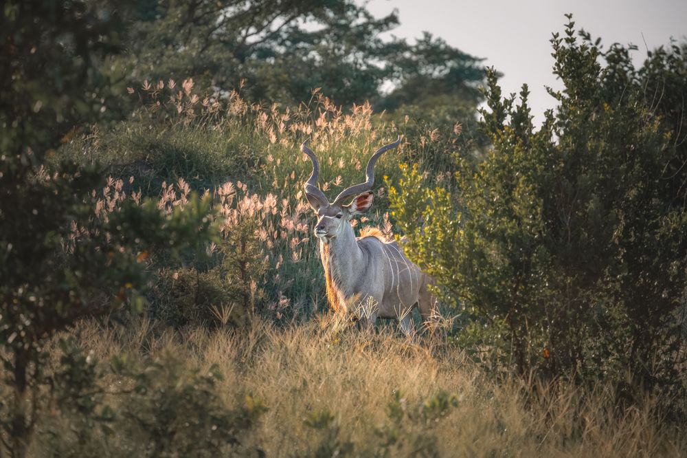 Photograph by Lara Iris