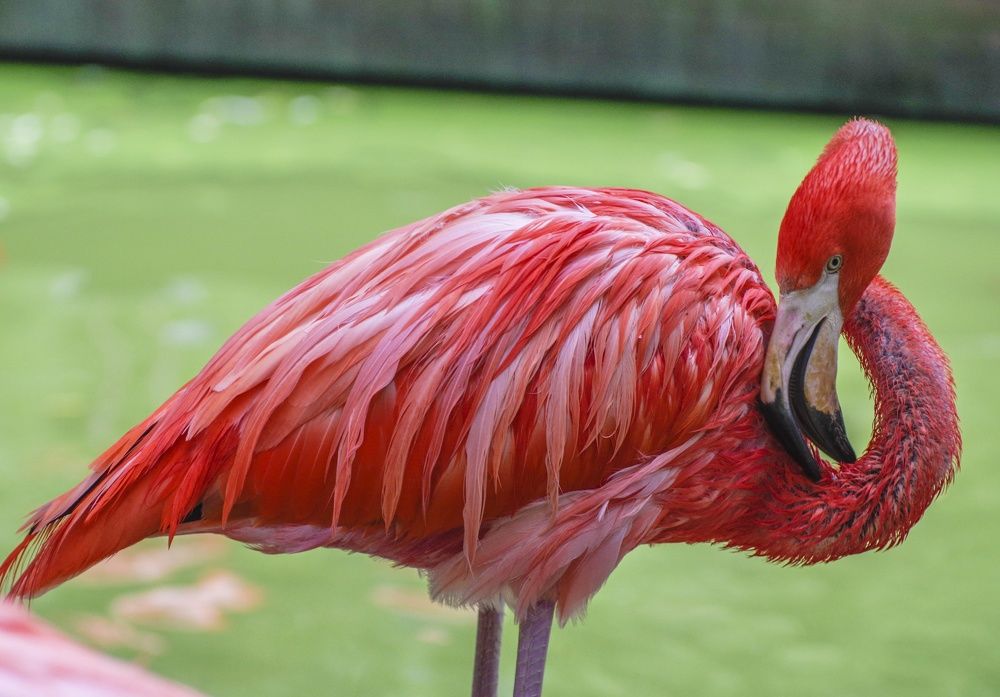 Photograph by Михаил Измайлов