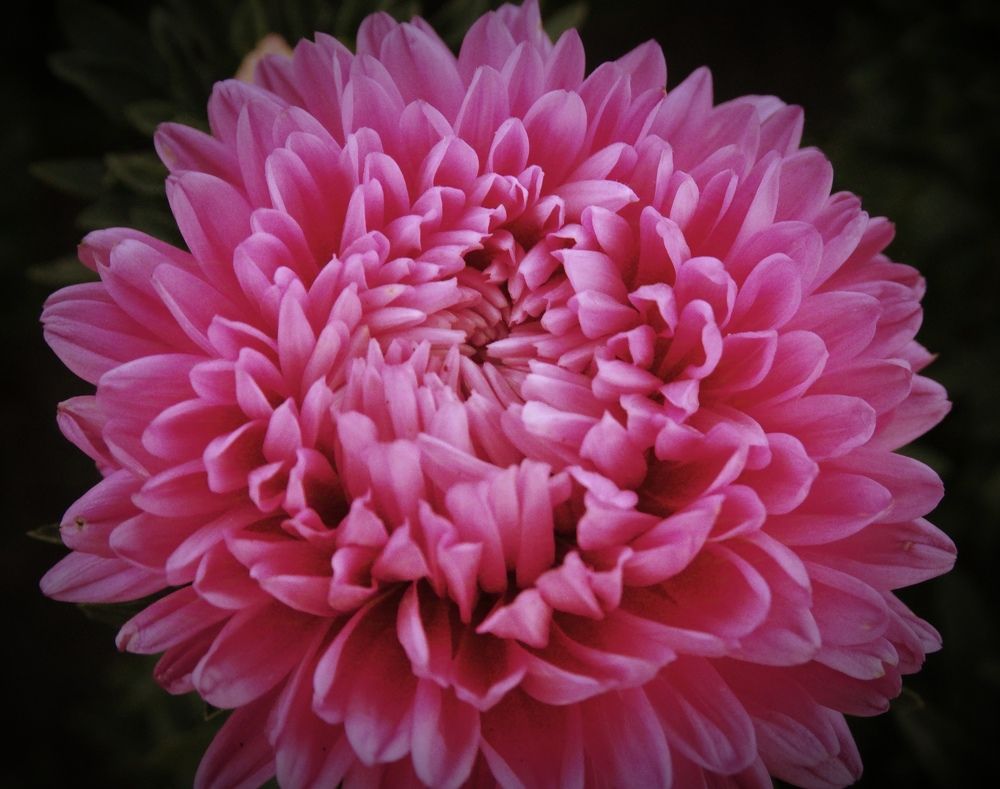 Photograph by Ирина Половцева