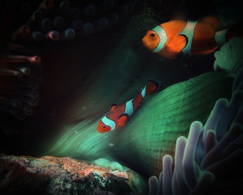 Photograph by Кирилл Леднев