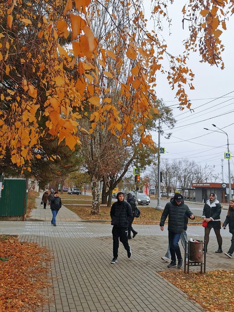 Photograph by Светлана Смирнова