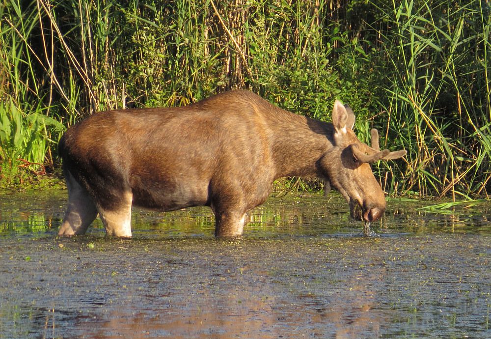 Photograph by Олег Юмашев