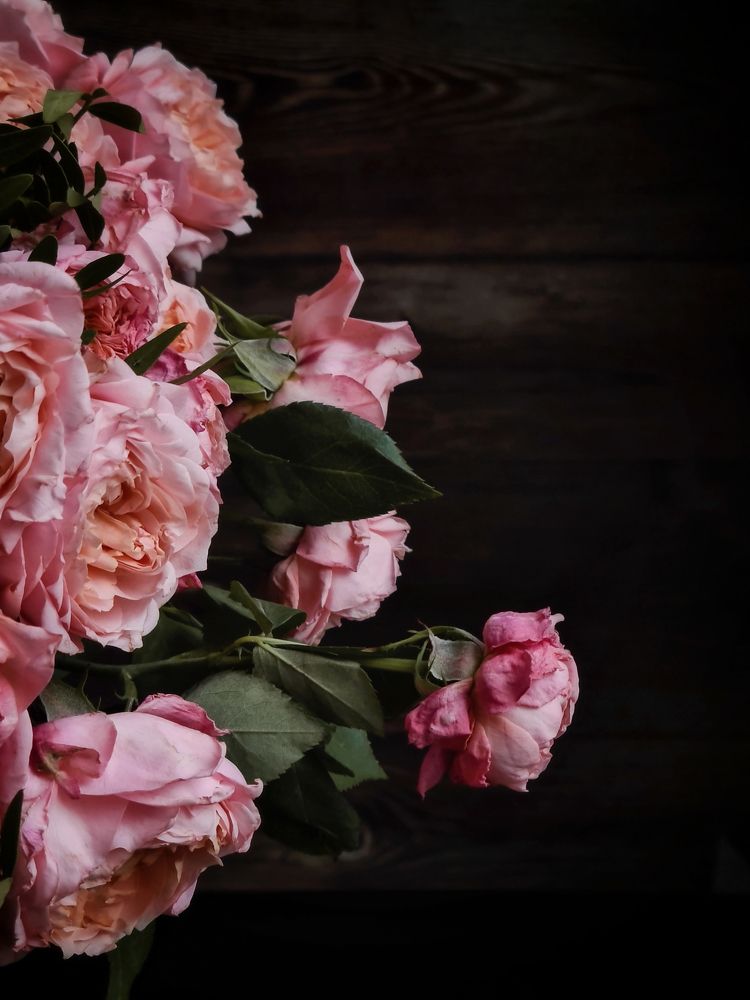 Photograph by Людмила Григорьева