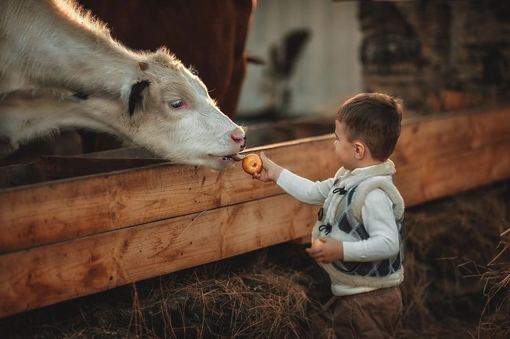 Photograph by Ирина Ганич