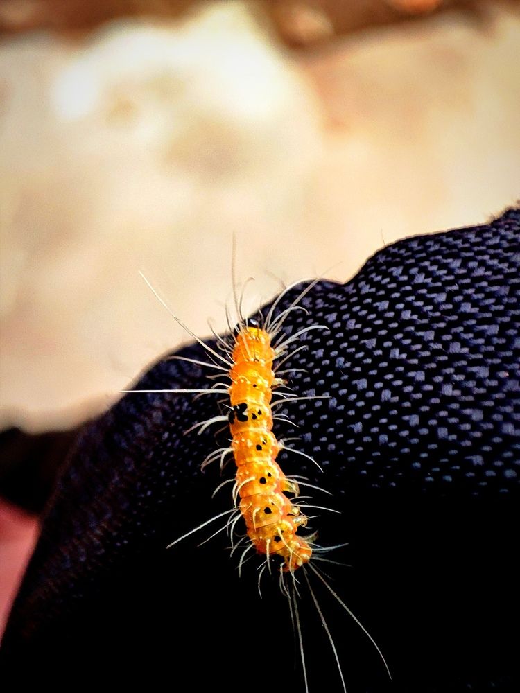 Фотография автора Debdutt Saha