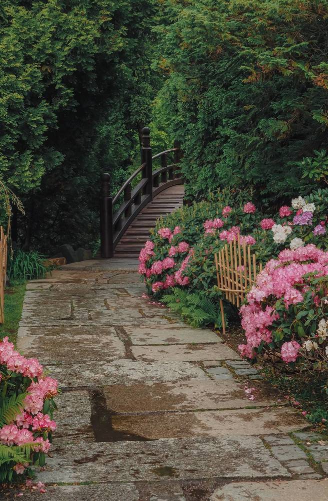 Photograph by Ирина Протченко