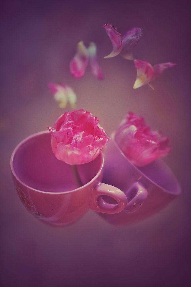 Photograph by Татьяна Бравая