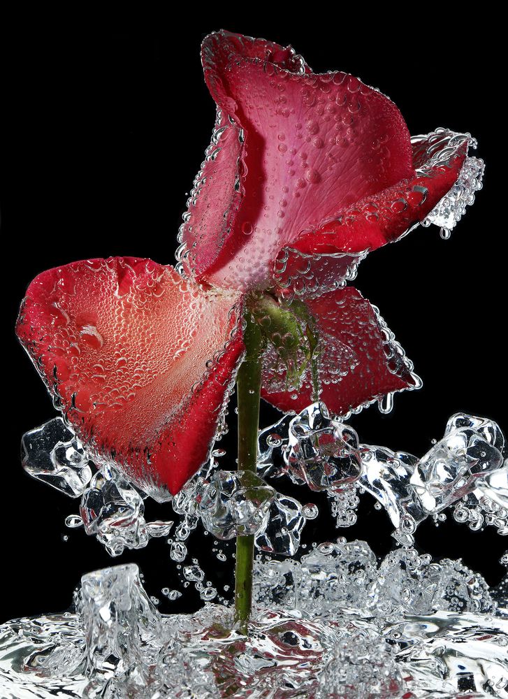 Photograph by Igor Sakharov