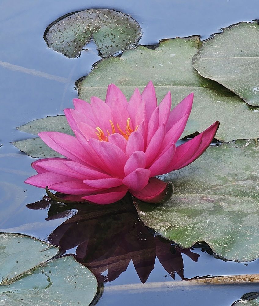 Фотография автора Oksana Podgorodetska